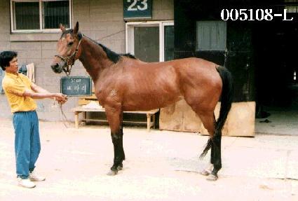 ��� ����