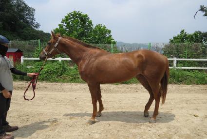 �̽����� ����