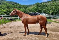 źź��� (TANTAN DAERO) ����