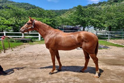 źź��� ����