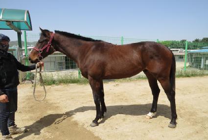 �ӽ�Ŷ���� ����