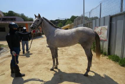 �Ѽ��극�̽� ����