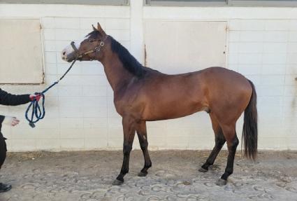 �����Ŀ� ����