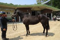 ��ġ����ī�� (TOUCH THE SKY) ����