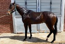 Ž���۽�Ʈ (TAMNA FIRST) ����