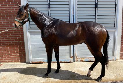 Ž���۽�Ʈ ����