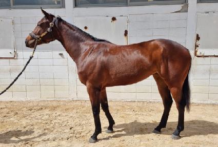 �ݾƷ����Ʈ ����