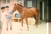 ������ (YEO NO RANG) ����