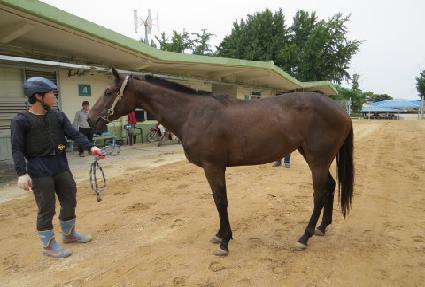 õ�����̵� ����