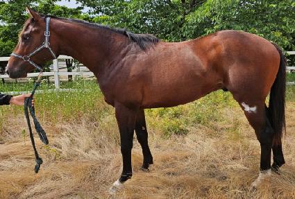 ȯ���ũ ����