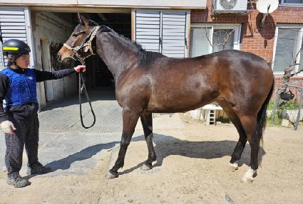 ��Ÿ��ƽ��Ʈ ����