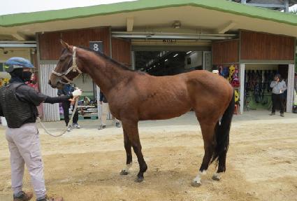 �Ѱ����丮 ����