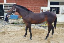 ���Ŭ���� (BIGBANG CLASS) ����