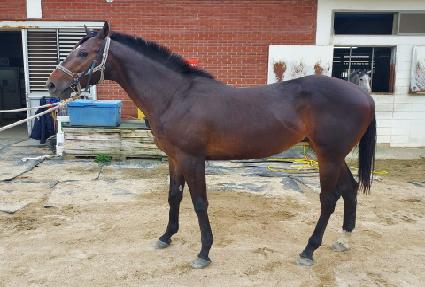 ���Ŭ���� ����