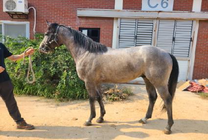 ���ǵ��� ����