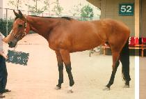 ���༱ (SANG HAENG SUN) ����