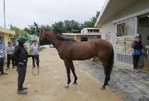 ��Ŭ�����ʰ� (ECLIPSE TANGO) ����