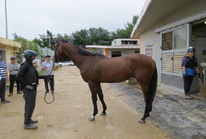 ��Ŭ�����ʰ� ����