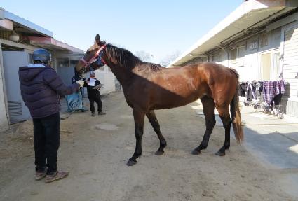 ��ǰ�� ����