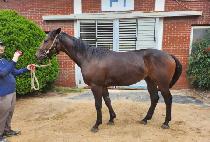 �����Ƽ (AIR CITY) ����