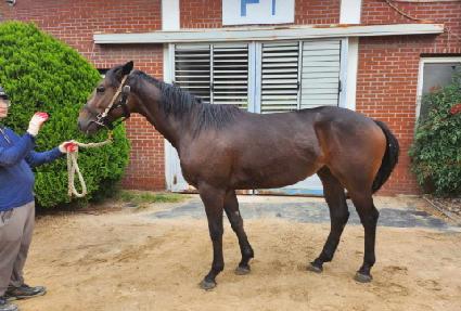 �����Ƽ ����