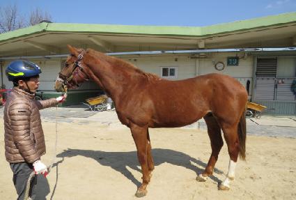 �Ѱ�����Ʈ ����