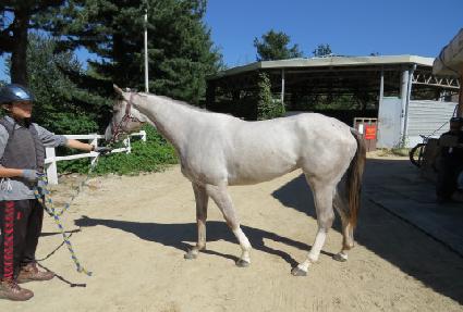 ���������� ����