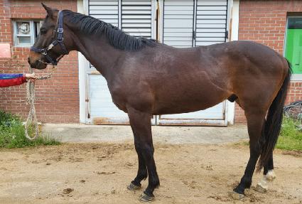 �������Ͼ ����