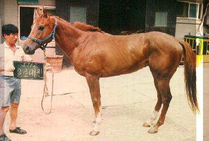 �Ϸθ��� ����