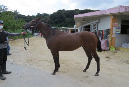 ����̳� ����