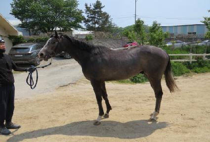 ȭ��ƮĮ�� ����