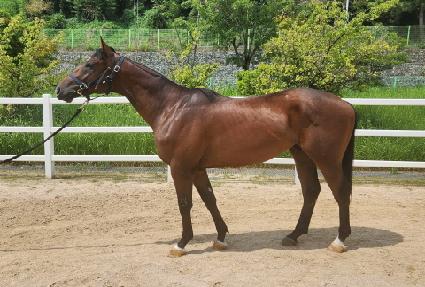 �۷ι��Ծ� ����