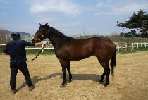 ���ʽ��� (WINNER��S QUEEN) ����