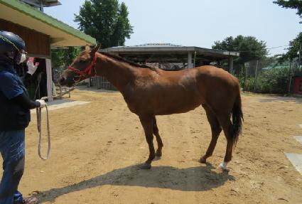 �̻��ְ� ����