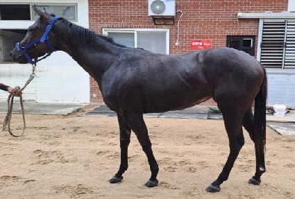 �������� ����