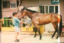 ����� (EU HEU RANG) ����