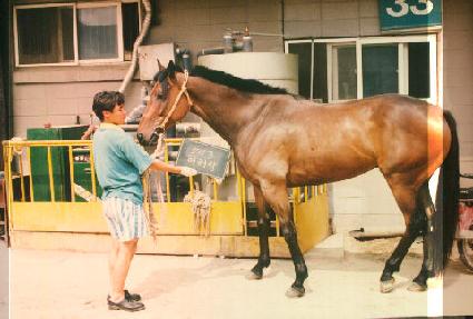 ����� ����