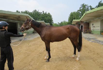 ����Ʈ��ũ ����