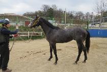 ť�ǵ��� (CUPID IT) ����