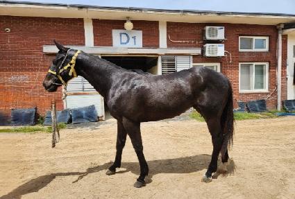 ��Ϻ��� ����