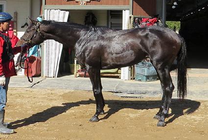 �����鿩�� ����