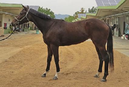 ����ΰ�� ����