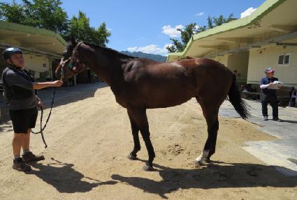 ��ø� ����