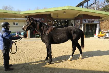 �ǿ��������� ����