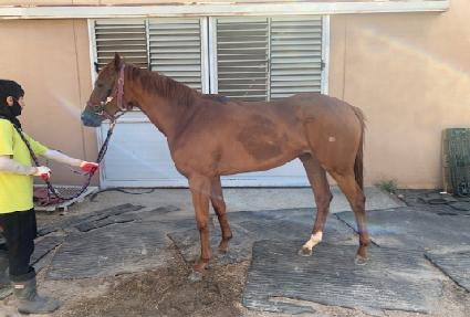 �������� ����