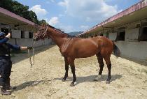 ��ȭ (JUHWA) ����