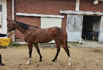 �̽�Ʈ�� (EAST SUN) ����