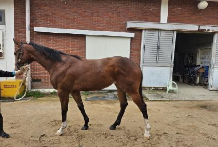 �̽�Ʈ�� ����