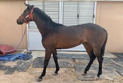 ���Ͻ��� ����