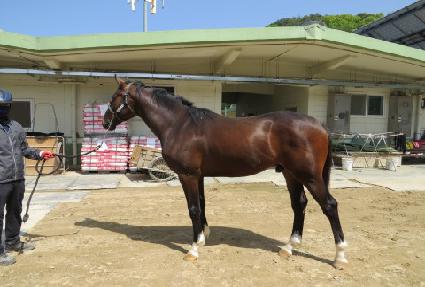 ������ ����